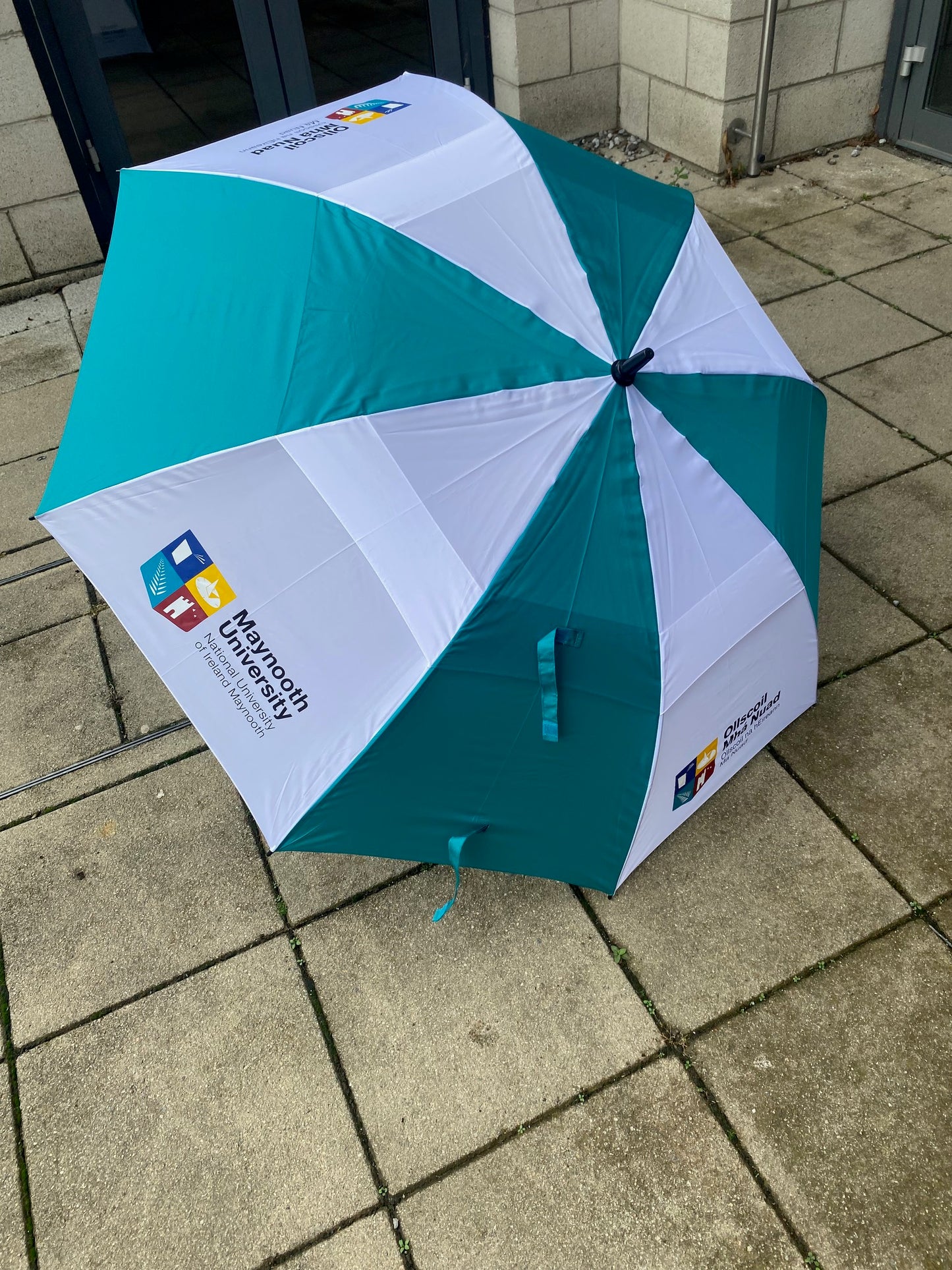 Umbrella Crested Teal & White