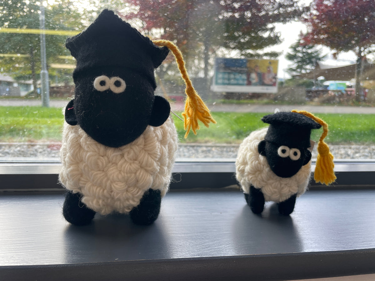 Graduation Sheep