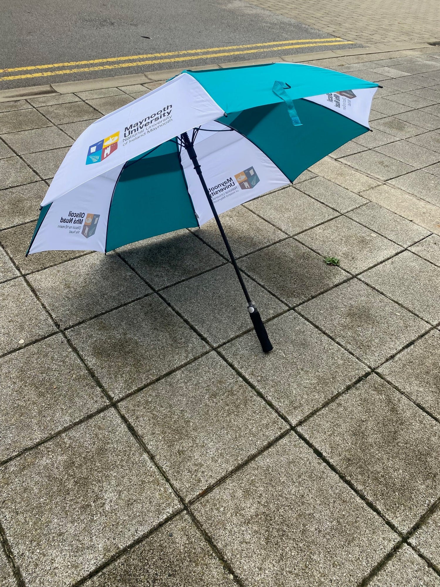 Umbrella