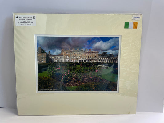 Maynooth Area Prints