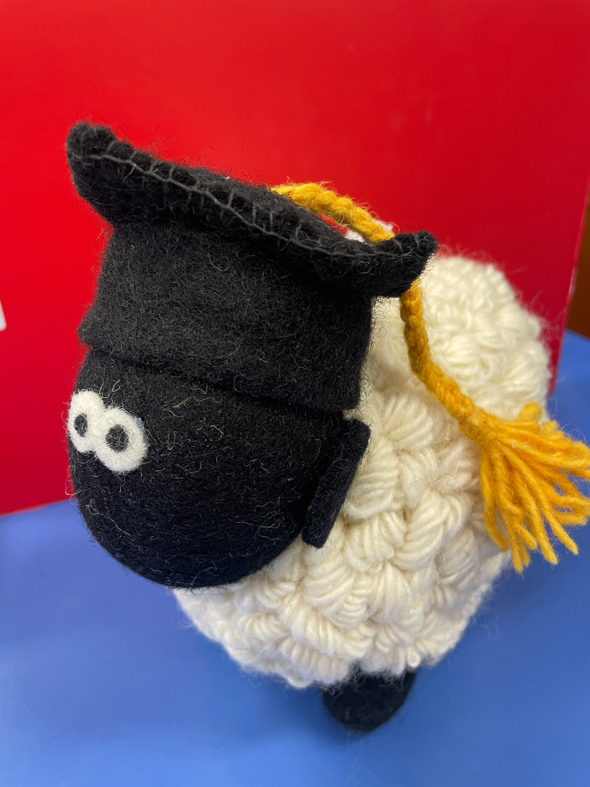 Graduation Sheep